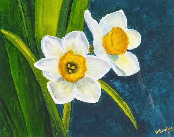 Daffodils