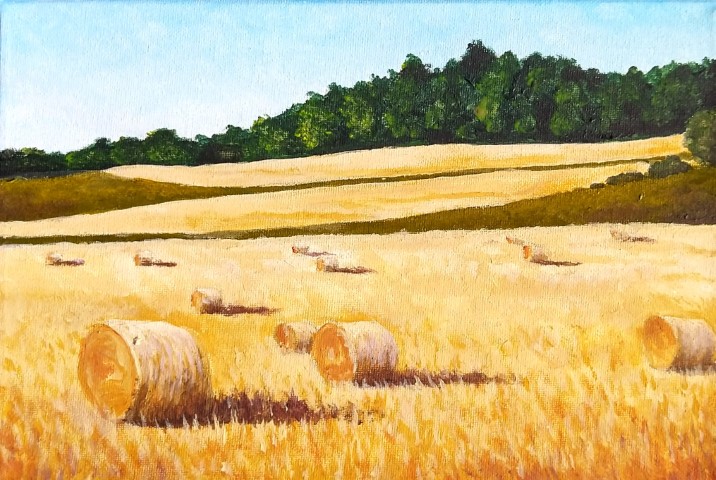 Harvest Field