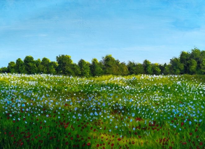 Wildflower Fields